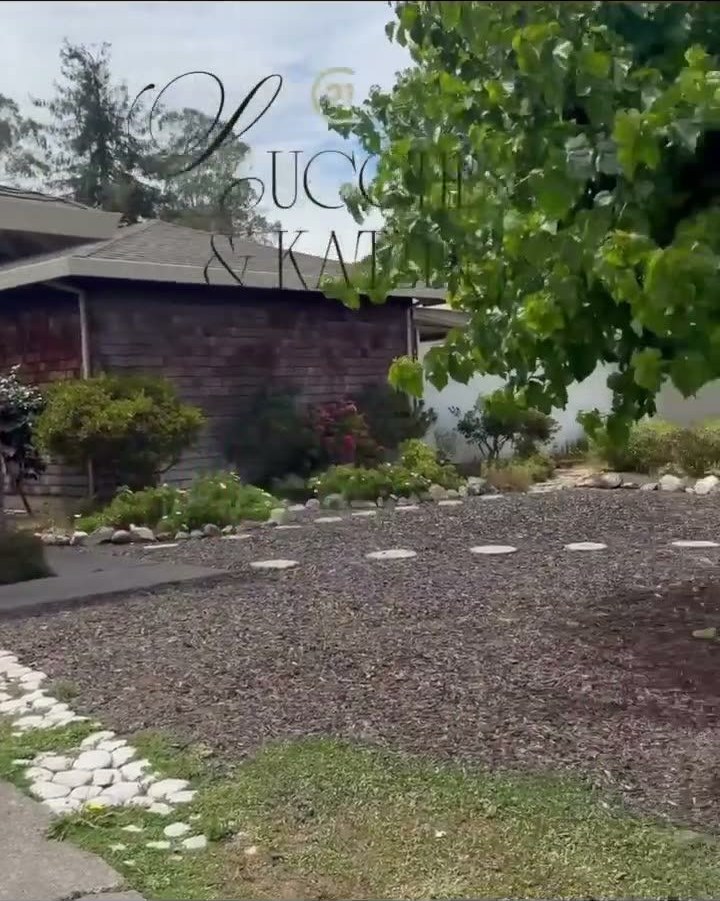 171 Alma Ave, Rohnert Park — Open House